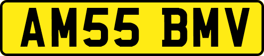 AM55BMV