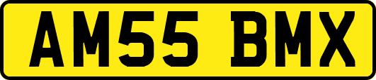 AM55BMX