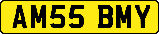 AM55BMY