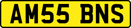 AM55BNS