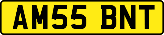 AM55BNT