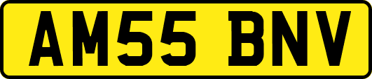 AM55BNV