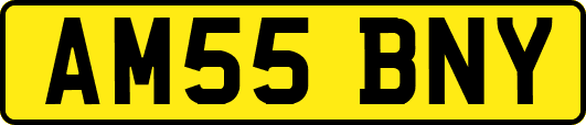 AM55BNY