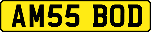 AM55BOD