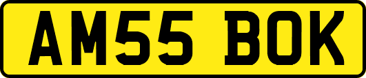 AM55BOK