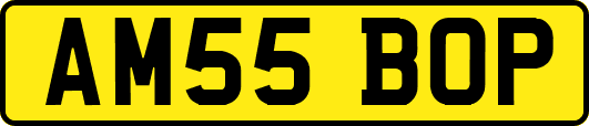 AM55BOP