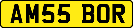 AM55BOR