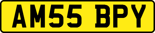 AM55BPY