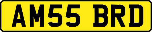 AM55BRD