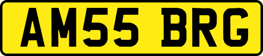 AM55BRG