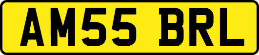 AM55BRL