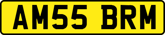 AM55BRM