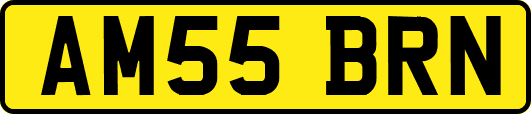 AM55BRN