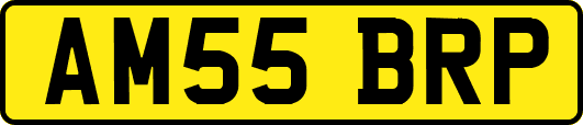 AM55BRP