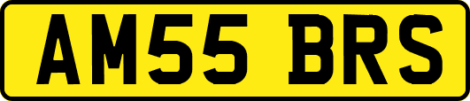 AM55BRS