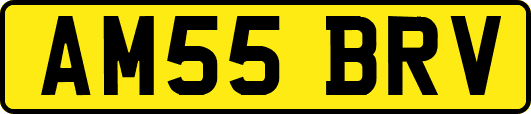 AM55BRV