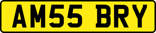AM55BRY