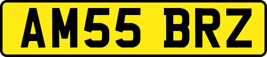 AM55BRZ