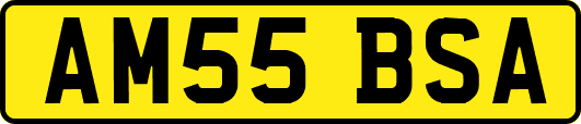 AM55BSA