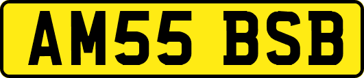 AM55BSB