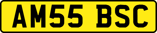 AM55BSC
