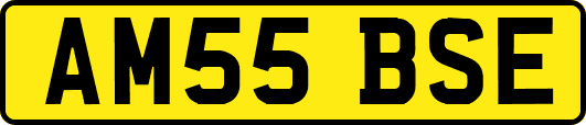 AM55BSE