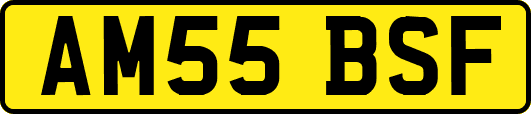 AM55BSF