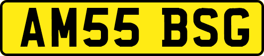 AM55BSG