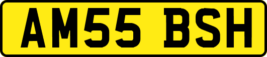 AM55BSH