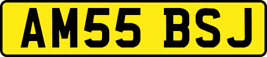 AM55BSJ