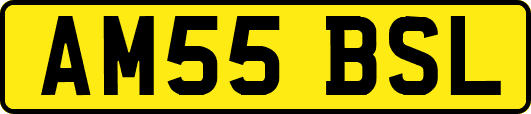 AM55BSL