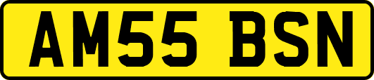 AM55BSN