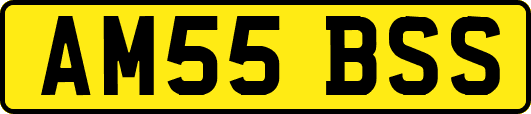 AM55BSS