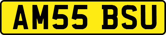 AM55BSU