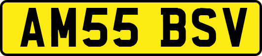 AM55BSV
