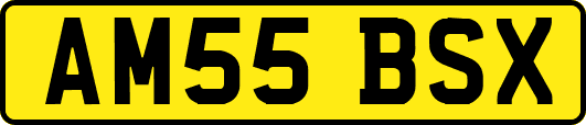 AM55BSX