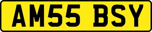 AM55BSY