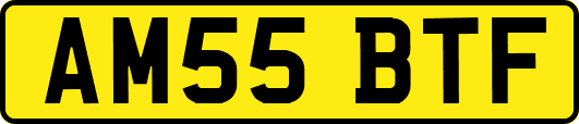 AM55BTF