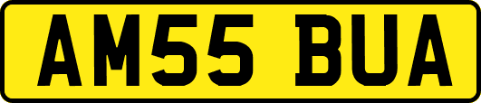AM55BUA