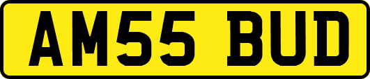 AM55BUD