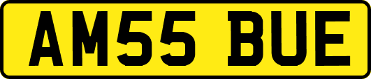 AM55BUE