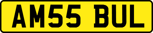 AM55BUL