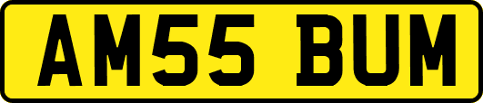AM55BUM