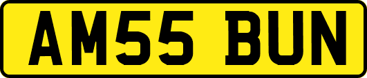 AM55BUN