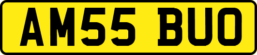 AM55BUO