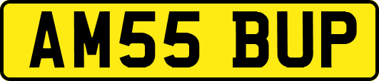 AM55BUP