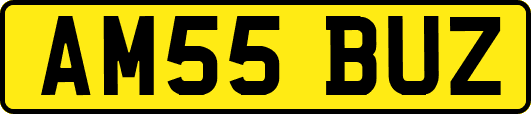 AM55BUZ