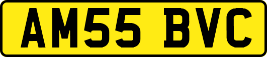AM55BVC