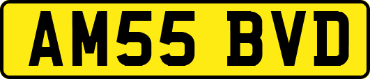 AM55BVD
