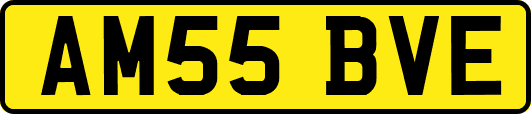 AM55BVE